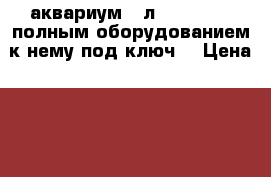 аквариум 50л AQVAplus c полным оборудованием к нему(под ключ) › Цена ­ 3 500 - Ленинградская обл., Санкт-Петербург г. Животные и растения » Аквариумистика   